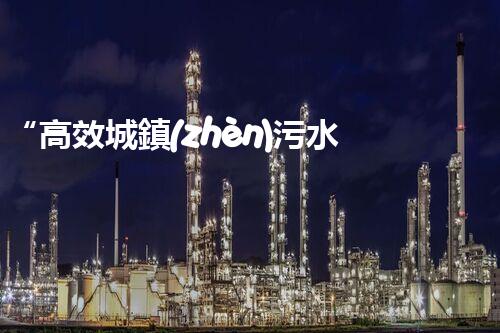 “高效城鎮(zhèn)污水處理流程，守護(hù)碧水藍(lán)天新篇章”